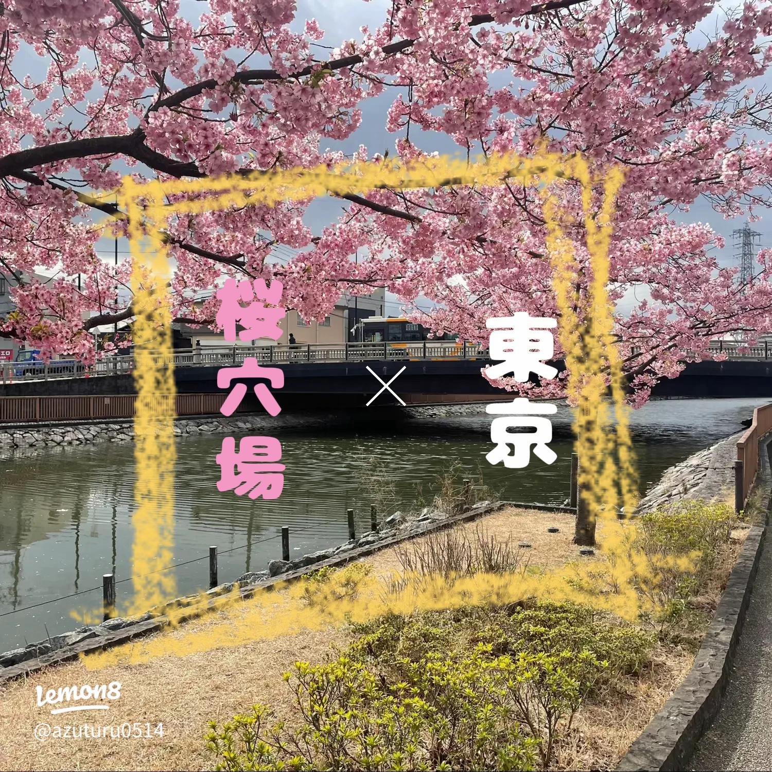 🛣️ 길역 야치요(미치노에키 야치요) 이미지 9